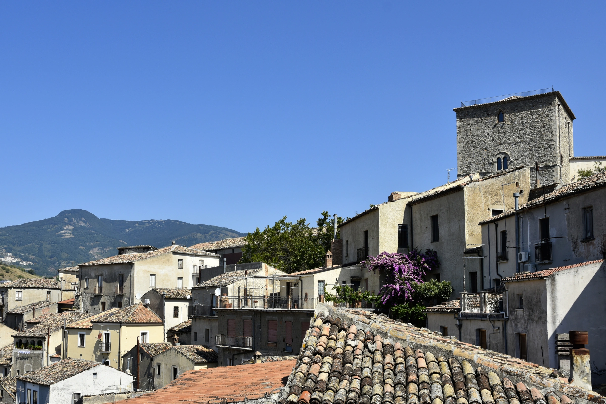 Altomonte[1].webp